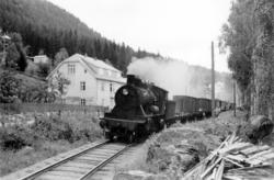 Damplokomotiv type 24 med godstog i nærheten av Fagernes