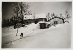 Hund i snøen på Varland. Hus og gård i bakgrunn