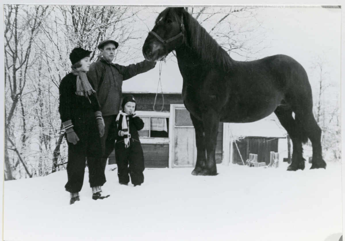Odensvi sn, Köping, Kölsta.
John Ramstedt med döttrar och hästen "Dora", början 1930-tal.