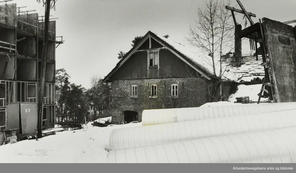 Ryen gård. Grisehuset. 25. mars 1982