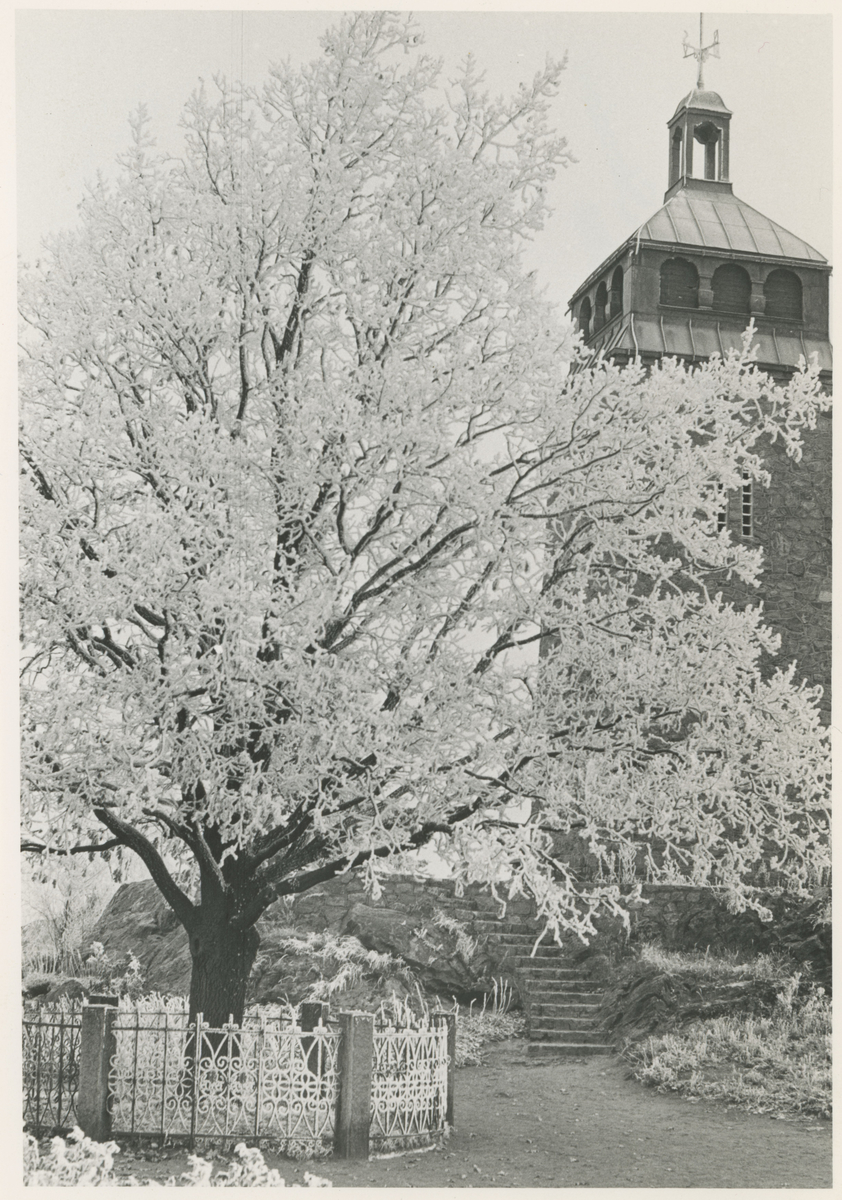 Bilde 1: Sandløkka på Scharremyren. Bilde 2: Bytårnet fra 1920. Minneeika fra 1914 ses i forgrunnen.