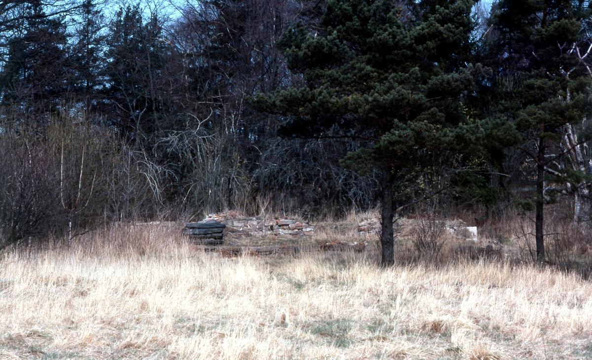 Gårdstomt med boningshus i mitten, Apelgården 1:6 "Lottas" år 1978. Ladugårdsgrunden ses till vänster. Allt revs cirka 1965.