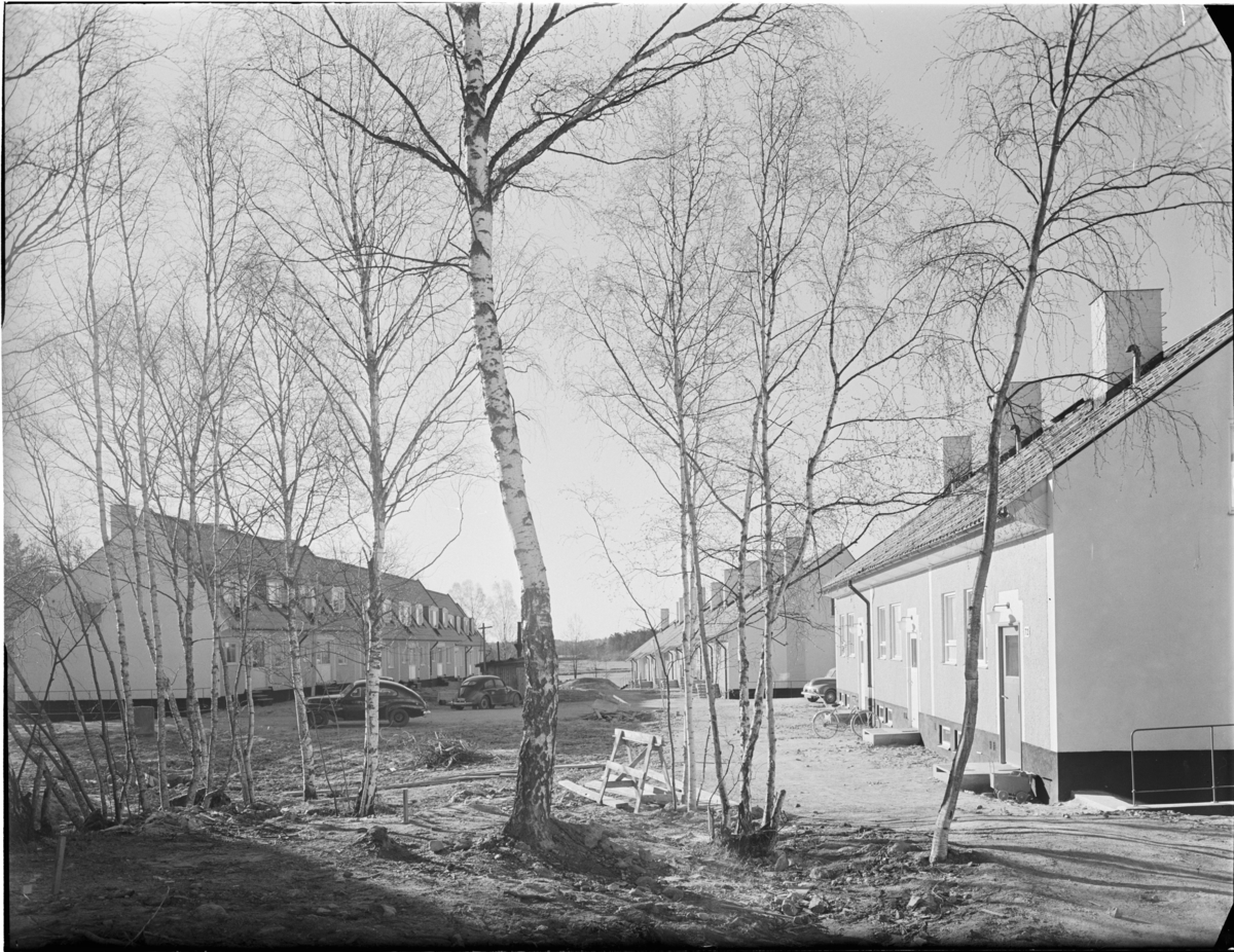 Skönstaholm
Exteriör, radhusområde. Träd i förgrunden