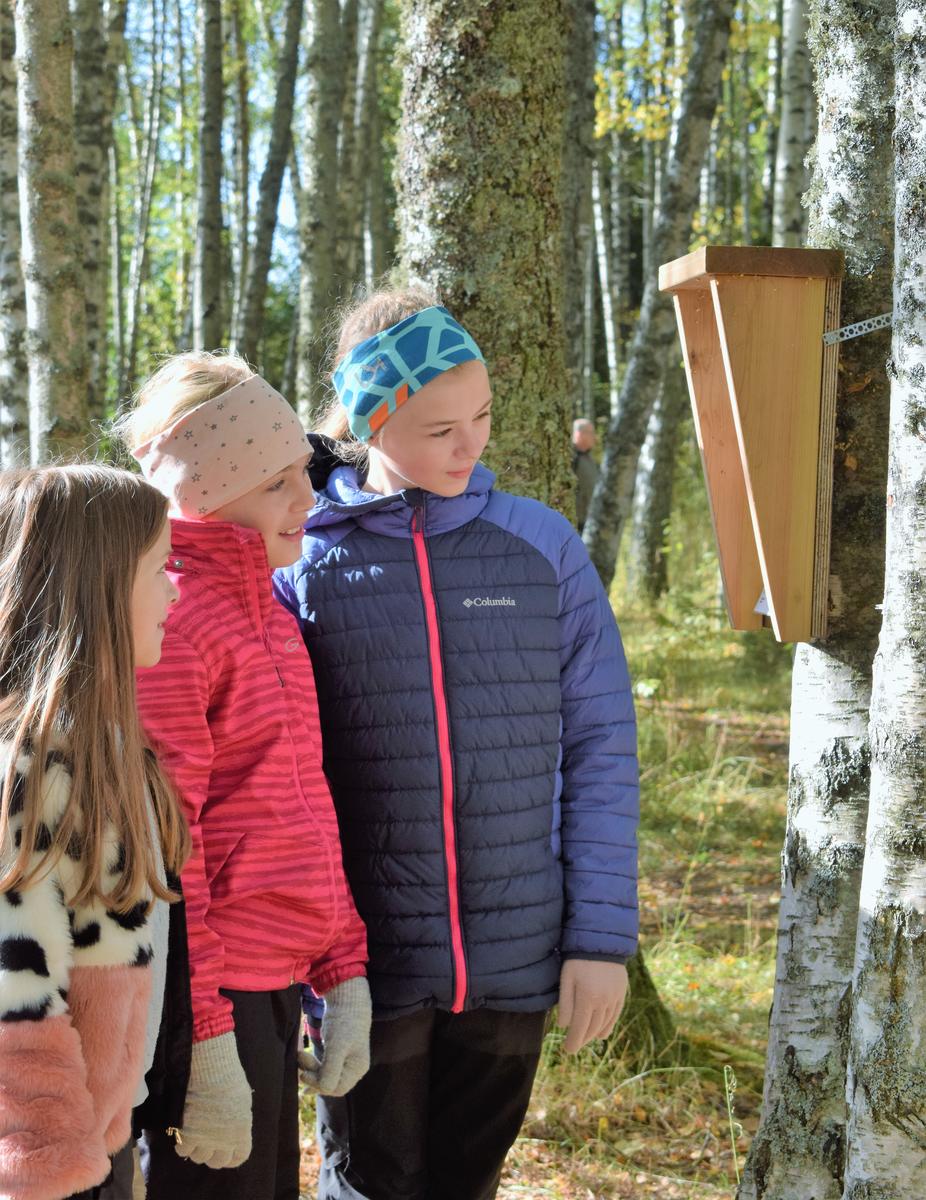 Foto av tre barn som leser natursti