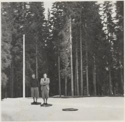 Falstadskogen (1949-50)