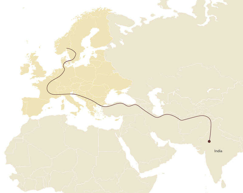 Map of Europe, North Africa and large parts of Asia. A red line has been drawn on the map which shows the language's approximate migration route from Northern India to the Balkans.