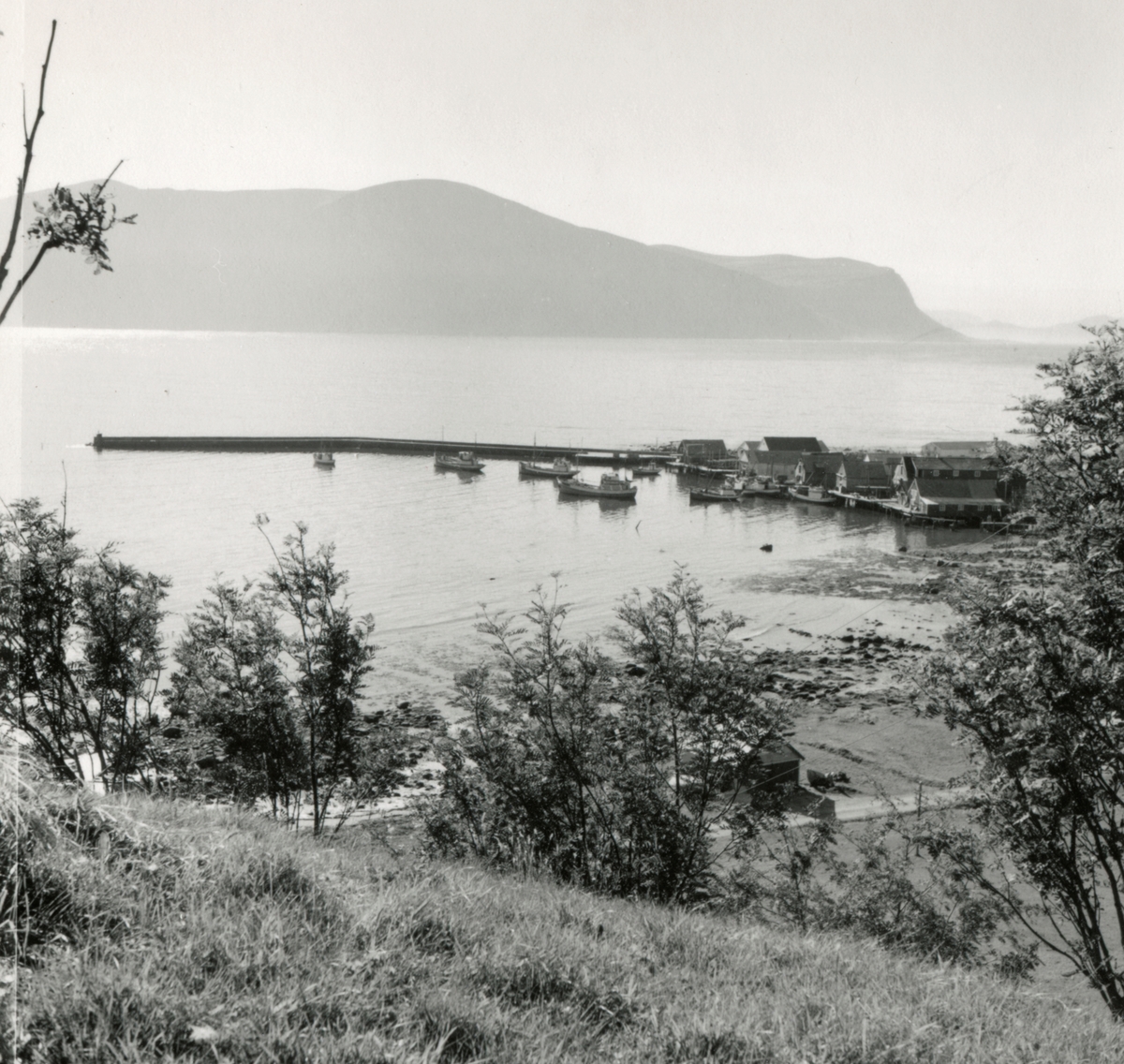 Prospektfotografi med oversikt over havna med båter og fiskebruk på Godøy, Giske.