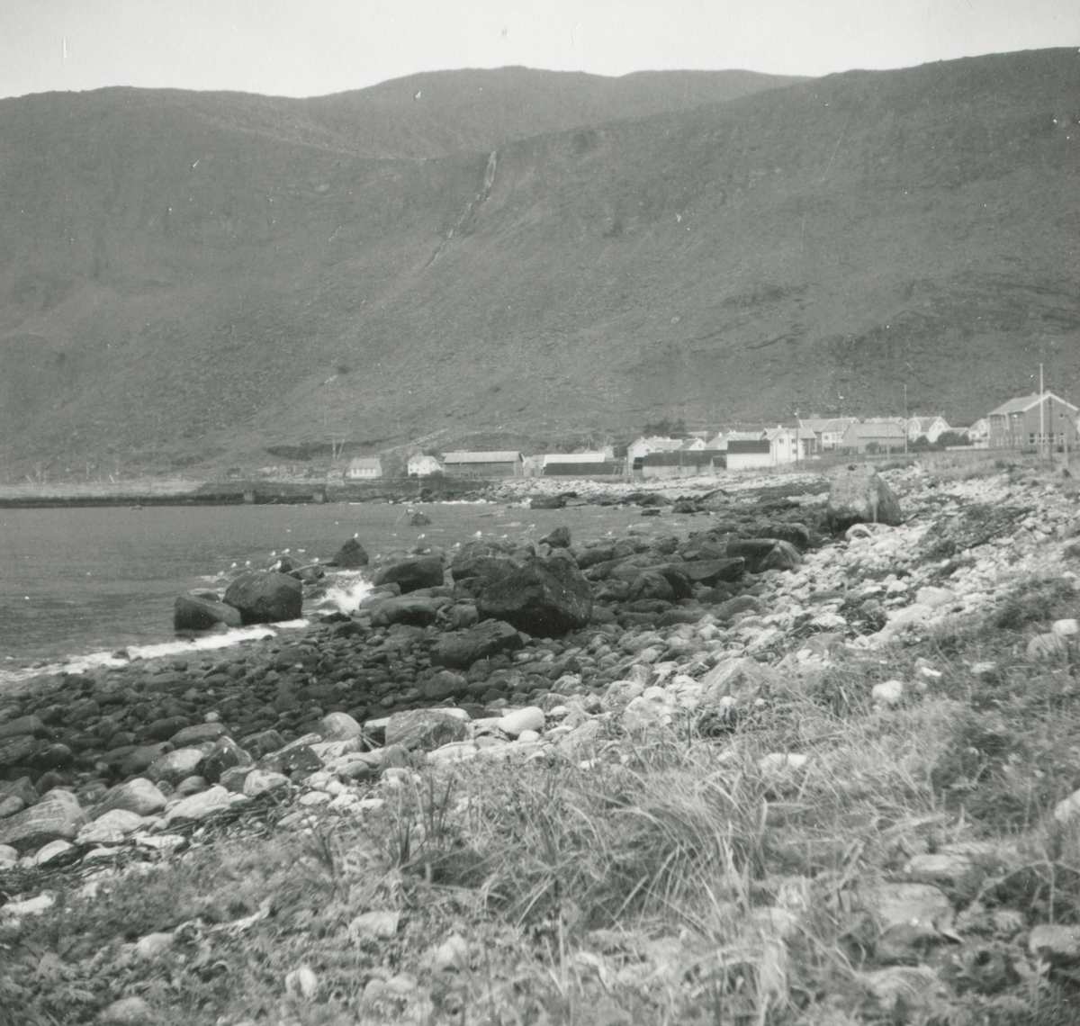 Oversiktsbilde av bebyggelse og moloen på Alnes, Godøy. - Sunnmøre ...