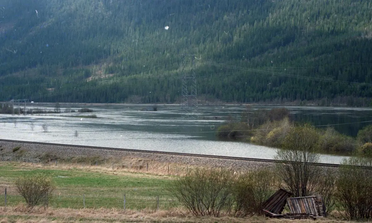 flombilde 1995