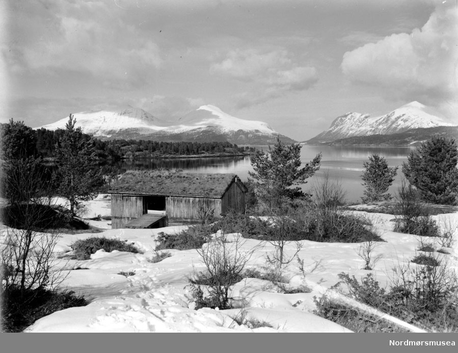 Landskapsbilde hvorfra vi ser de store fjellene. Trolig i Sunndal kommune. Datering er ikke kjent, men kan muligens være fra tiden omkring 1930 til 1960. Fra Nordmøre museums fotosamlinger.
