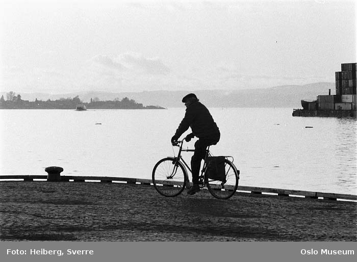 havn, brygge, mann, sykkel, fjord, ferge, containere, øy