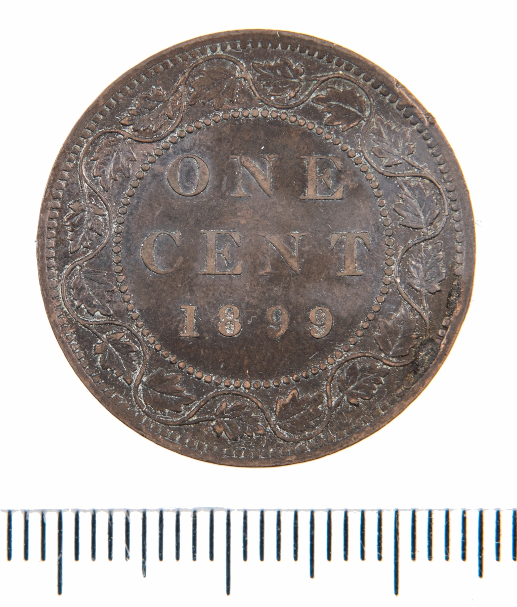 Mynt, Canada, 1899, 1 Cent.