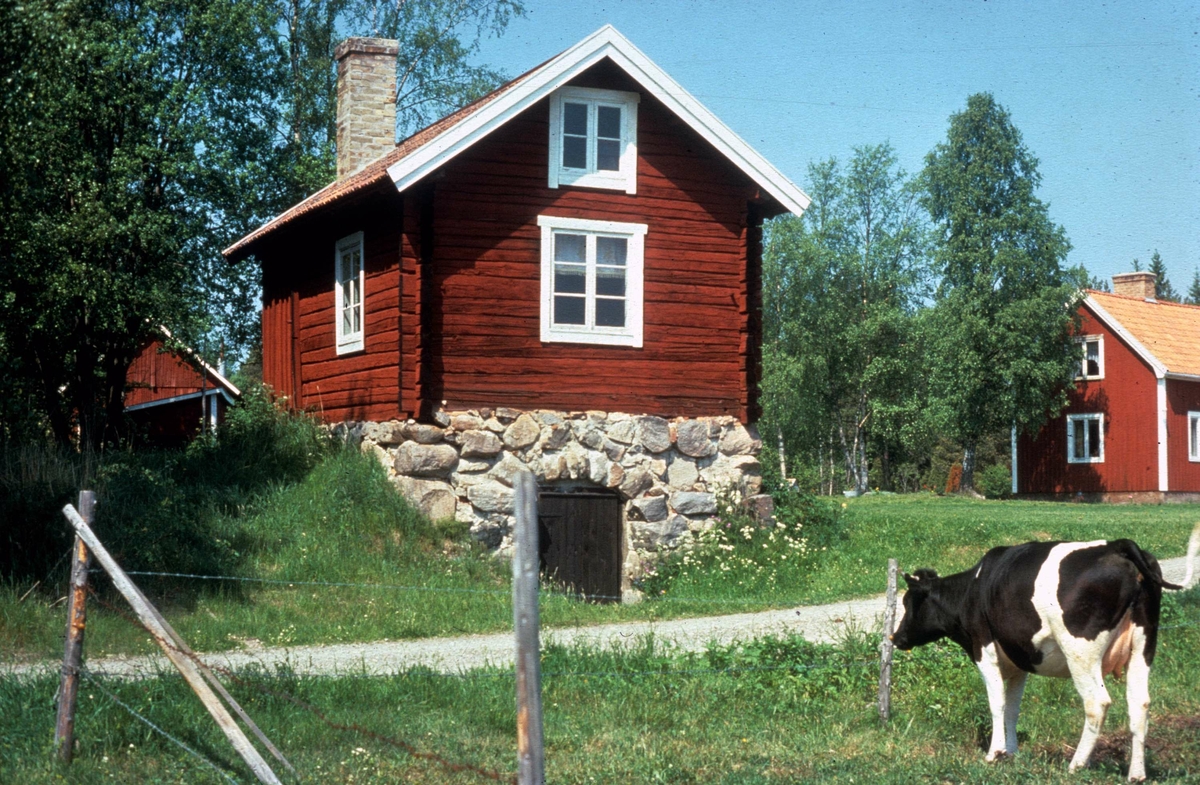 Uthus, Hållen, Hållnäs socken, Uppland 1975