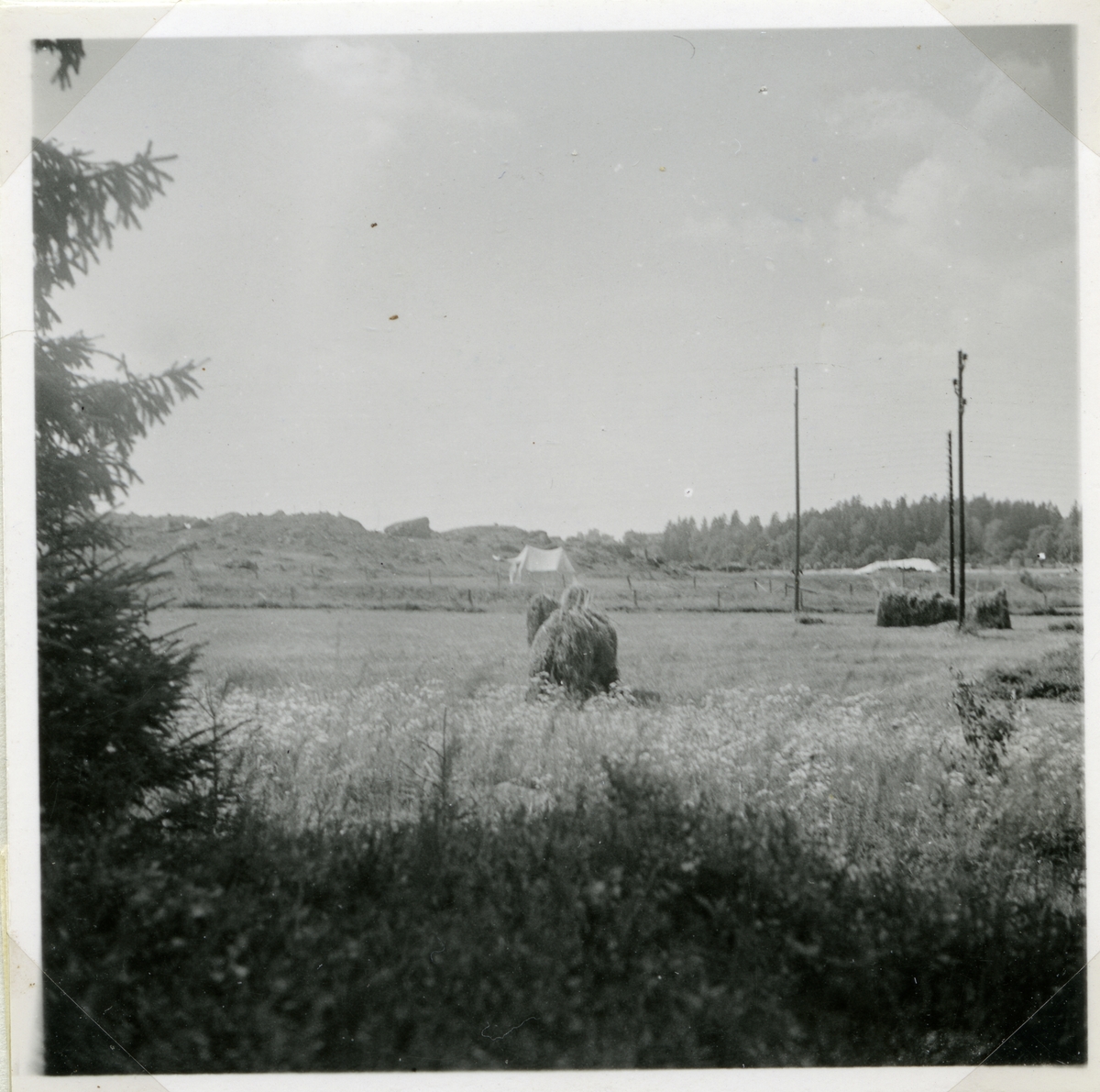 Svedvi sn, Hallstahammars kn, Hallstahammar.
Gravfält, 1947.