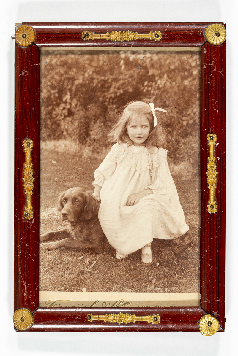 Fotografi av jentebarn sittende på en liggende hund.