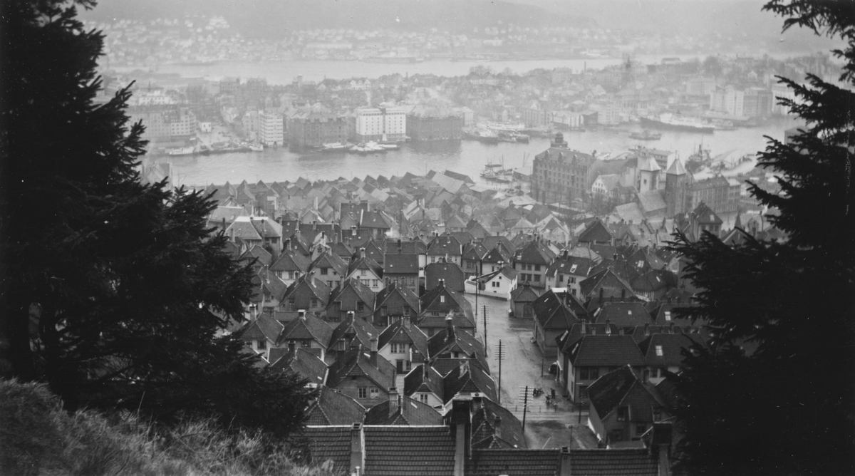 Bergen. Stølen, mai 1955.