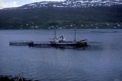 Brønnbåten "Gulafjord" ligger ved merder ved anlegget til Le