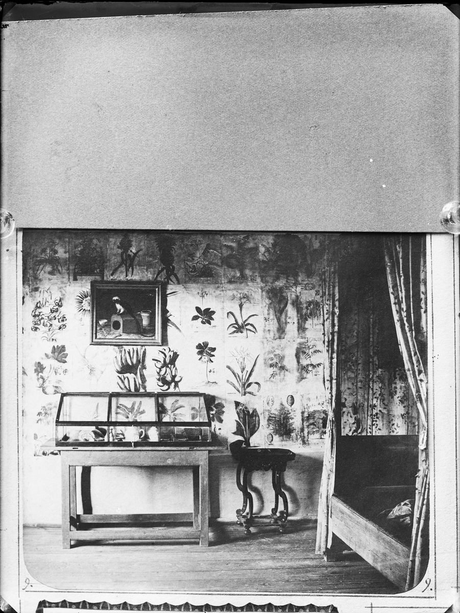 Reprofotografi - Linnés Hammarby, Uppland 1878