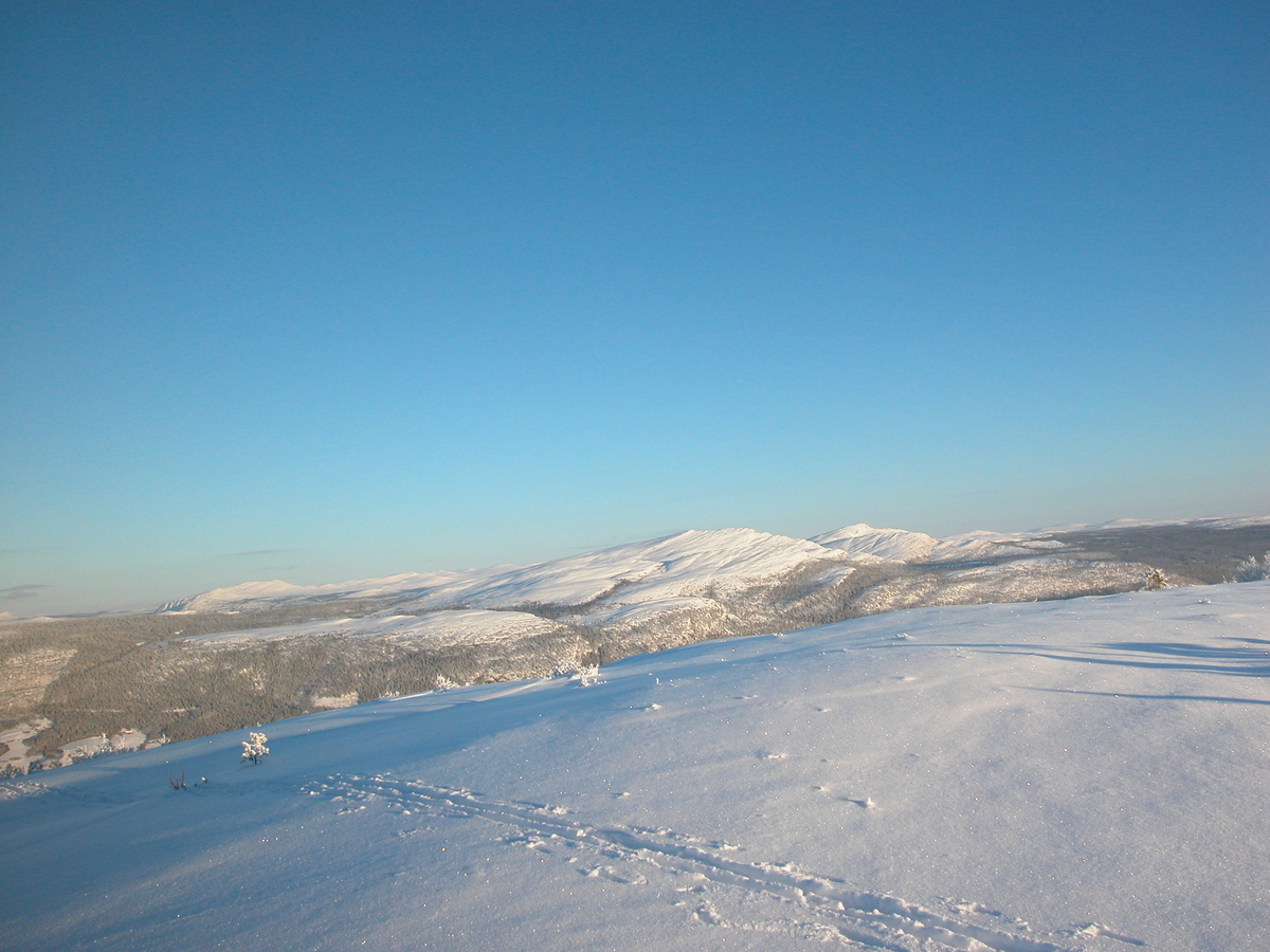 Alvdal, Østkjølen, Oversiktsbilde tatt fra Utsikten