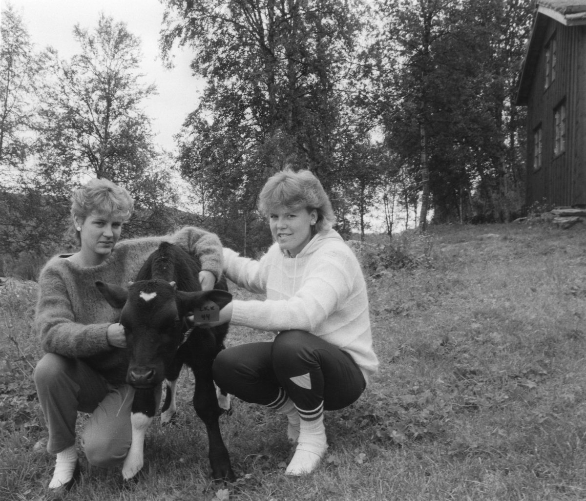 To jenter med kalv, Grete Nygård og Birgit Ytterhaug