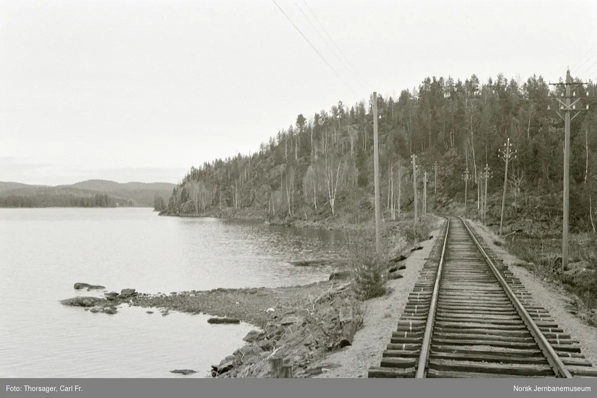 Parti fra Treungenbanen mellom Nelaug og Simonstad