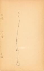 Skissebok [Skissebok]