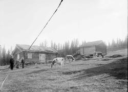 Kort: 03.10.1909. Nord-Fron. Marthinius Klyphaugens hus. Byg