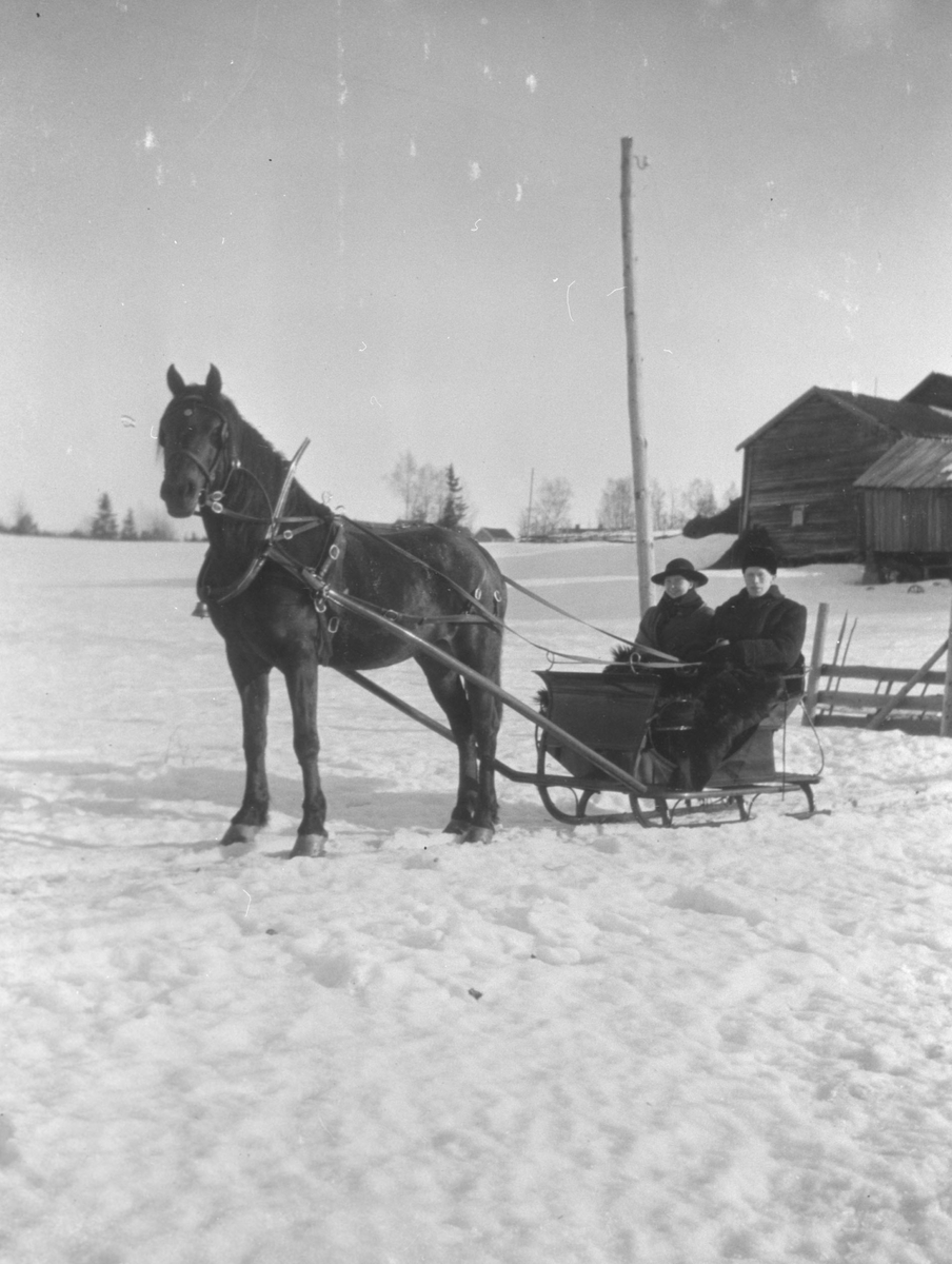 Peder og Sigrid Krogh drar på besøk til hans hjem i Hobøl med hest og slede