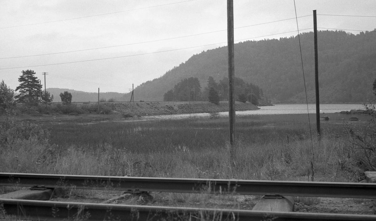Setesdalsbanen syd for Hægeland stasjon. "Mandalsporet", et sidespor fra Hægeland, sees i forgrunnen.