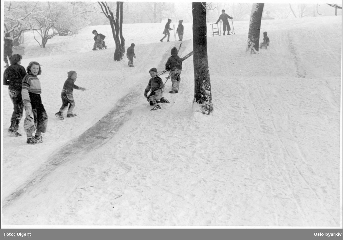 Vinteraktivitet i en av byens parker. Kupert snøbelagt terreng med isete sklie. Barn, ungdom og voksne med ski, sparkstøtting og kjelke. Påskrift bak; Off. Tj. A, Byens Parker.