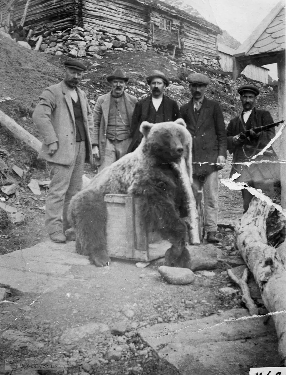 Bjørnen Aneus K. Vike skaut på Ågothammaren 04..05.1915 .Dei rodde bjørnen til Hoem og skinnet vart spikra opp på naust-veggen. Omriss av skinnet vises på nautveggen fremdeles. .Det var Aneus Vike som skjøt bjørnen, men Peder Ø. Hoem hadde vanskeligheter med å forsone seg med at det ikke var han..Edvard Hånde var enkemann og bodde i huset oppå bakkekanten.