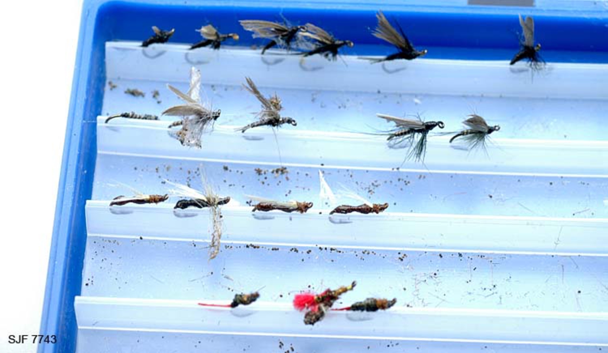 Tilstand: I forbindelse med omfotografering av gjenstander høsten 2002, oppdaget OT Ljøstad at fluene i denne esken var langt på veg ødelagte av møllangrep.  Problemet skyldes at gjenstanden har vært lagret i magasin C, der temperaturen er såpass høy at møllen trives. 
Boksen inneholder ialt 75 stk tørrfluer. Tørrfluene har den funksjon at de flyter på vannet, derfor så bustete. En meget fin boks som en setter fluene fast i, istedenfor at de ligger hulter i bulter. Giveren har skrevet ei bok med navnet "Isfiske" sammen med Knut Rom, boka ble utgitt i 1972. Giverens far var en ivrig sportsfisker og ble gitt tittelen "Den fullendte sportsfisker". 

Boksen inneholder ialt 75 stk tørrfluer. Tørrfluene har den funksjon at de flyter på vannet, derfor så bustete. En meget fin boks som en setter fluene fast i, istedenfor at de ligger hulter i bulter. Giveren har skrevet ei bok med navnet "Isfiske" sammen med Knut Rom, boka ble utgitt i 1972. Giverens far var en ivrig sportsfisker og ble gitt tittelen "Den fullendte sportsfisker". 
