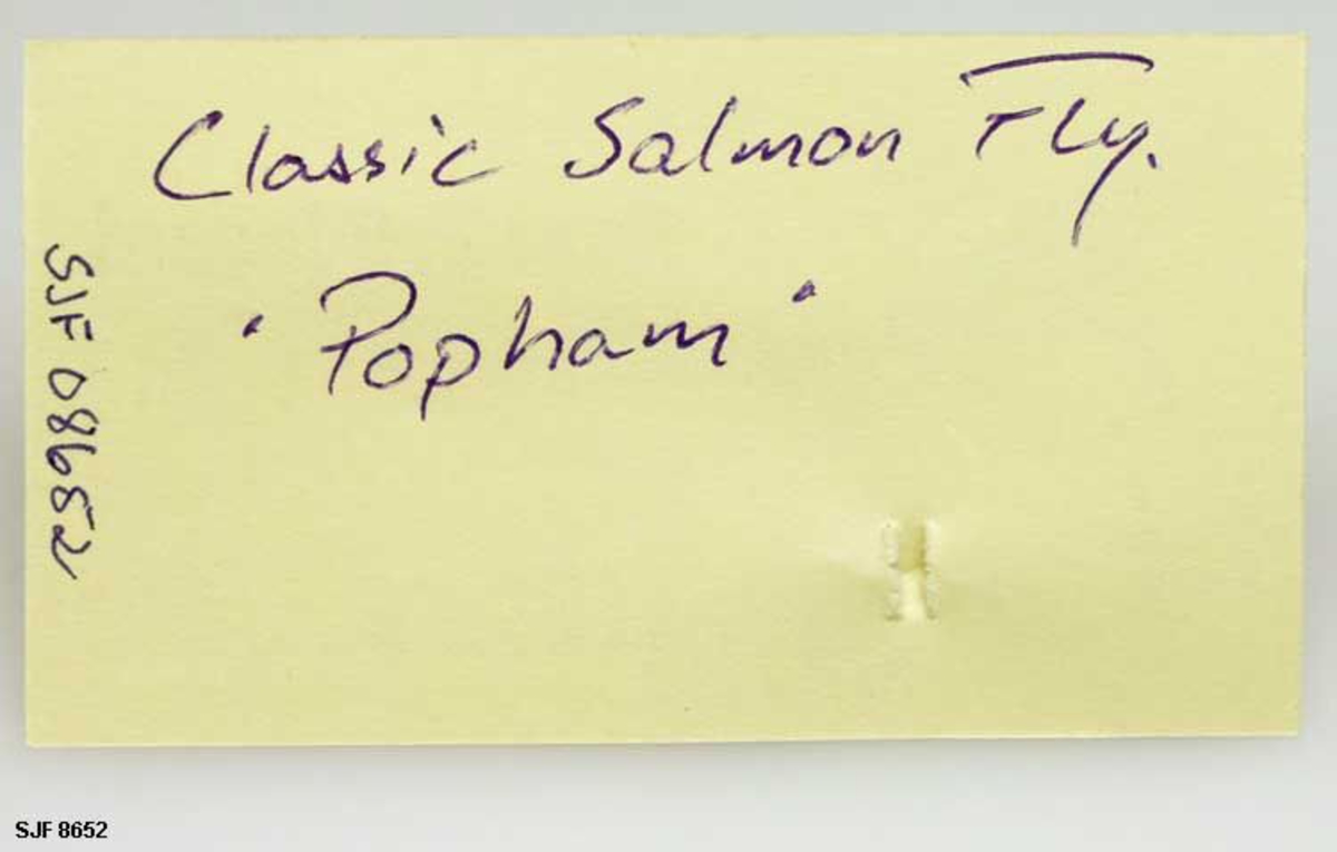 Lakseflue bundet etter mønster fra T. E. Pryce Tannat's bok: How to dress Salmon Flies. 1914. Flua er en Classic Salmon Fly med navnet "Popham". 