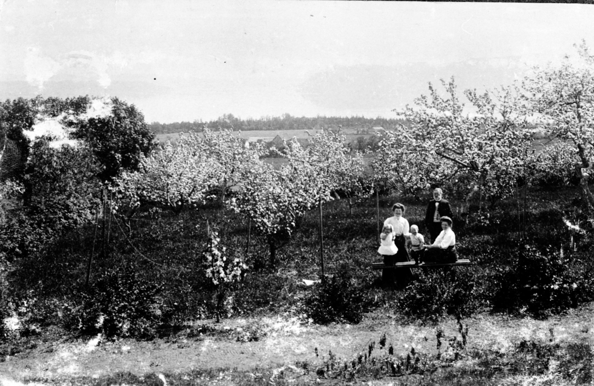 "Helgøens Planteskole", fruktblomstring, Eikshagen, familie med barn, Eik, Helgøya. 