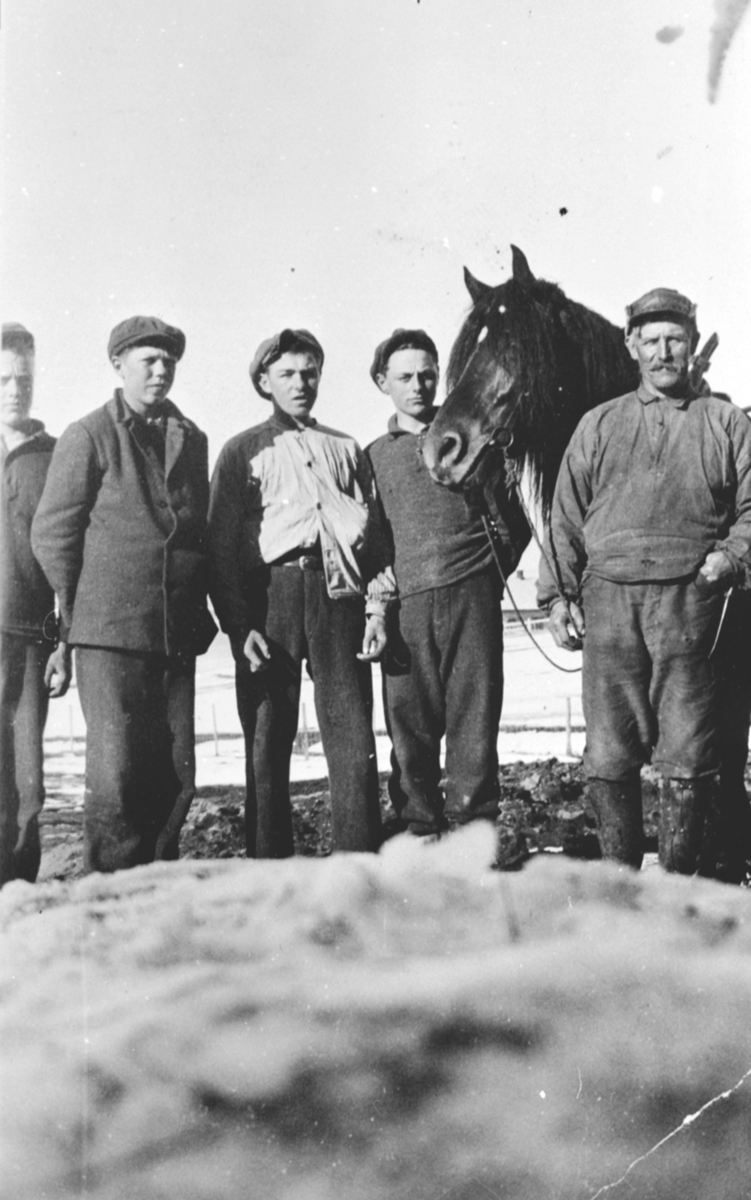 Gardskar Martin Jonsen Gaaserud (1877-1953) med hest og 4 gutter fra Toftes Gave, Nedre Sund, Helgøya.