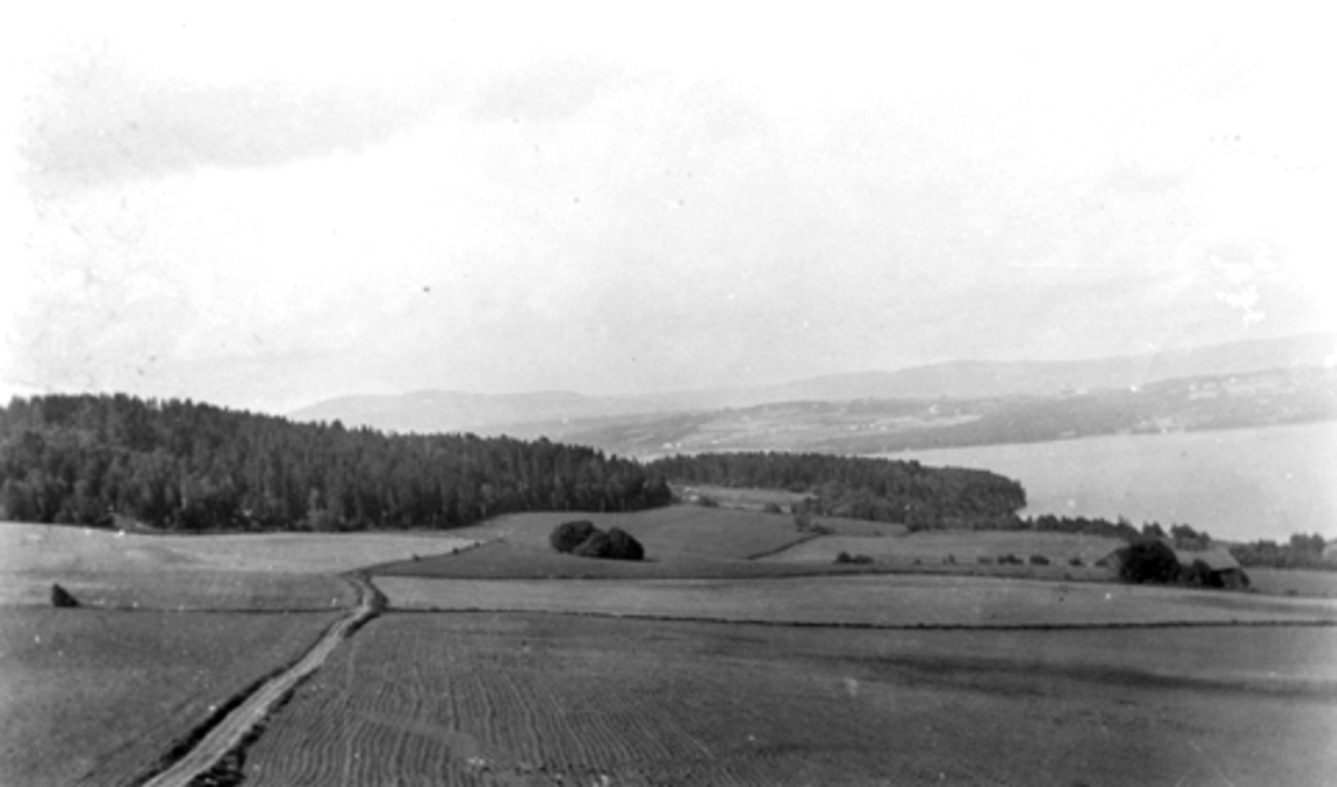 Landskap ved Grefsheim, Nes, Hedmark med den gamle gardsvegen.