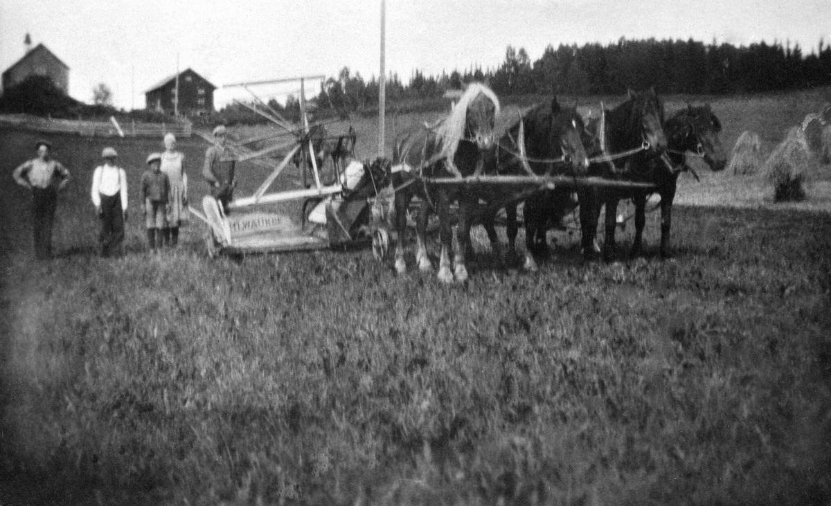 Skuronn på Helseth, Stavsjø med "Milwaukee" sjølbinder trukket av 4 hester. Fem ukjente personer. I bakgrunn er størhuset og stabburet.