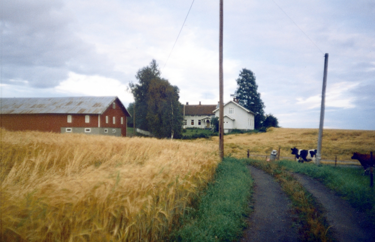 Vestre Blystad. 73/1 Vang H. på 1990-tallet. 