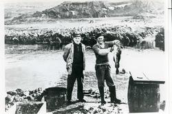 Hjalmar Johansen og Bjarne Kristoffersen med fisk på kaia på
