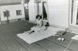 en ung pike sitter på et stort tak og soler seg. 1960-tall.