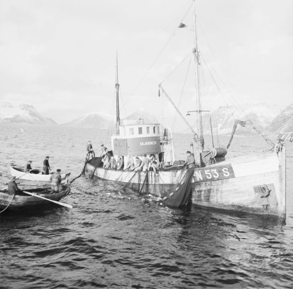 Snurpenotfiske for første gang i Lofoten med M/K Skjæringen