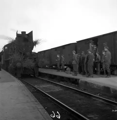 FREDSDAGENE I HAMAR, MAI 1945, GRINIFANGENE KOMMER HJEM TIL HAMAR MED ...