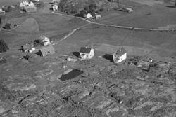 Børøysund, Hestvika