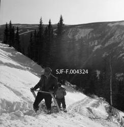 "Hankekjøring på Lillerud i Vestre Gausdal. K. Kronberget og