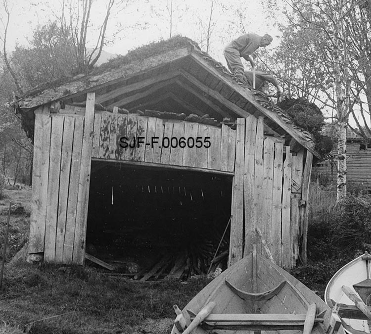 Naustet til Nikolai J. Gjesdal (1889-1973) ved Vassenden i Jølster i Sunnfjord i Sogn og Fjordane.  Fotografiet er tatt fra strandkanten ved Jølstervatnet (Jølstravatnet), mot en gavl med en stor, rektangulær åpning til å ta båter inn og ut av bygningen.  Naustet er en umalt, bordkledd stavkonstruksjon med torvtekt sperretak.  Gavlveggen som vender mot fotografen er bordkledd opp til beiten, men åpen i røstet.  På taket ser vi to karer (Karinus Loftet og Georg Løvhaugen) som var i ferd med å spa ned torvtekket, som også var vekstmasse.  Dette fotografiet ble tatt i 1968, like før man startet arbeidet med å demontere bygningen med sikte på flytting til Norsk Skogbruksmuseums friluftsamling på Prestøya i Elverum. 

Jølsternaustet er 790 centimeter langt og 456 centimeter bredt og har følgelig ei grunnflate på 36 kvadratmeter.  På gavlen mot vassdraget er rafthøyden 217 og mønehøyden 365 centimeter.  På den bakre eller vestre gavlen er rafthøyden 125 og mønehøyden 258 centimeter. 