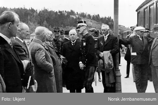 Kong Haakon hilser på ordførerne i Aust-Agder på Nelaug stasjon