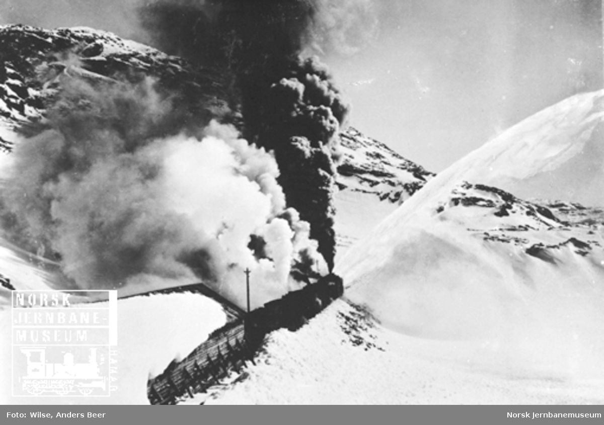 Roterende snøplog skjøvet av to eller tre damplokomotiver i arbeid på Bergensbanen