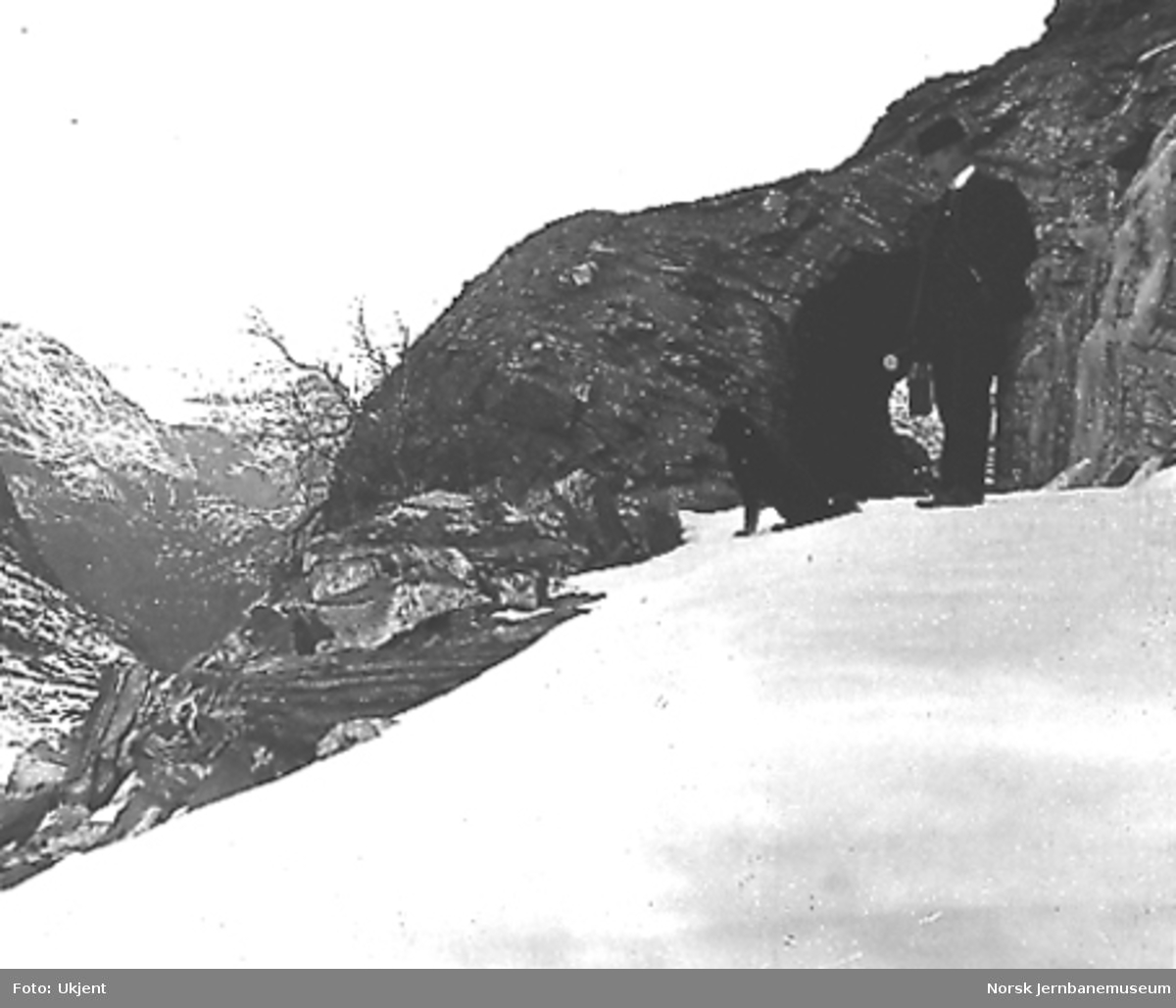 Tunnelinnslag, trolig mellom Hallingskeid og Myrdal, mann med hund i forgrunnen