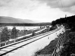 Numedalsbanen ved Evje