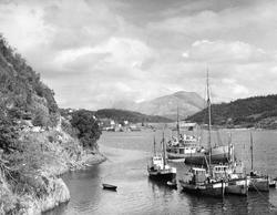 Parti fra Hopen med jernbanefyllingen over Hestsundet i bakg